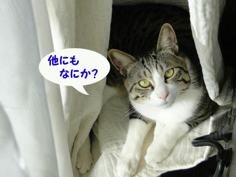 他にも何か?