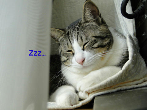 Zzzz...
