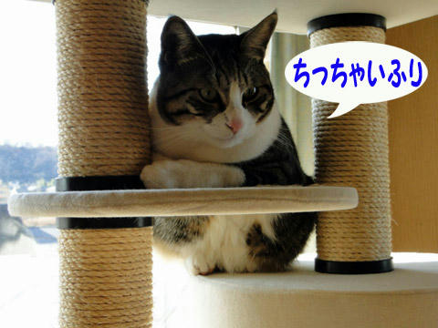 ちいさいふり