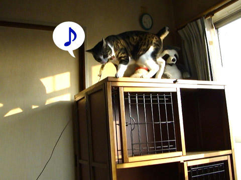 ノリノリ♪