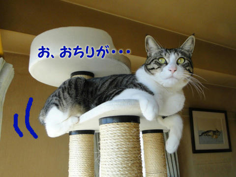 おちりが・・・