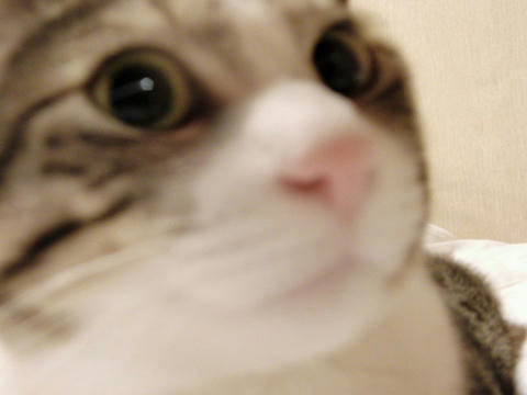 イケメン？（笑）