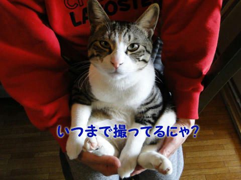 いつまで撮ってるにゃ？
