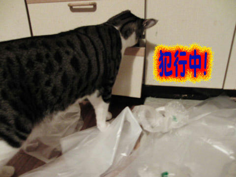 犯行中