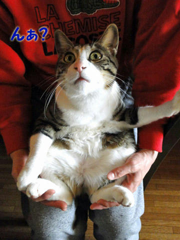 んあ？