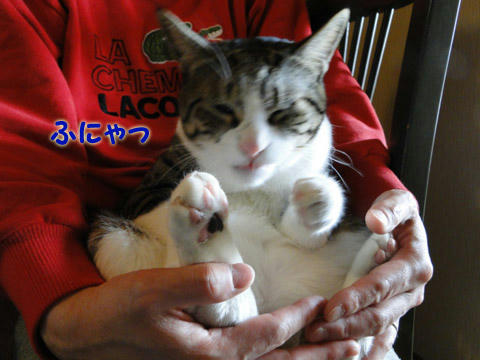 ふにゃっ