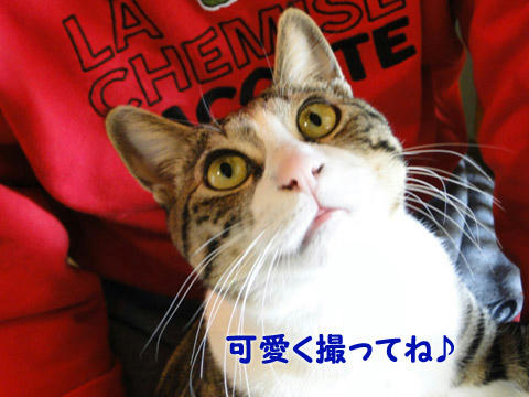 可愛く撮ってね
