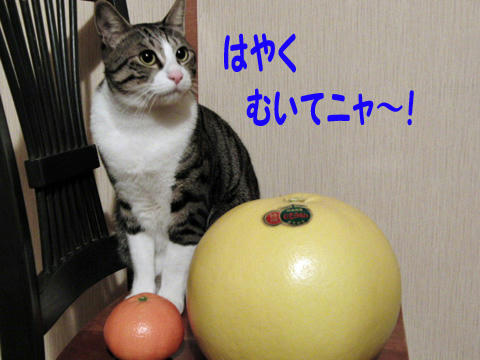 早くむいて
