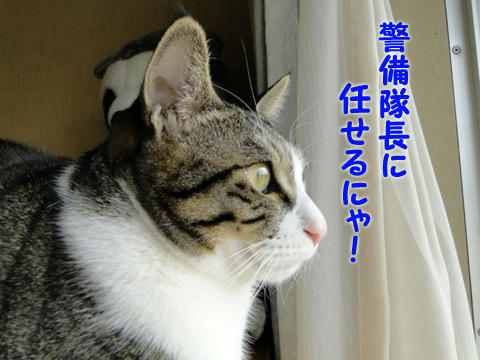 任せるにゃ