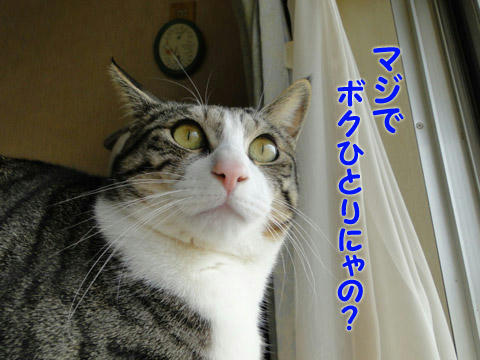 マジ?