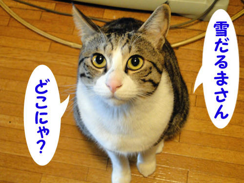 雪ダルマさん、どこ？