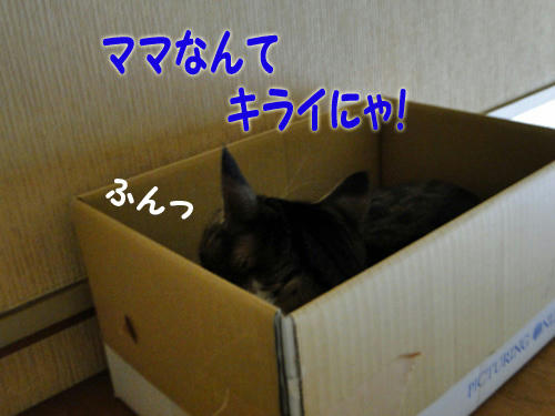 ママなんて嫌いにゃ！