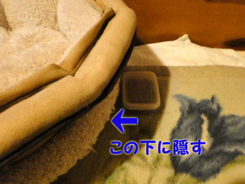 タッパーを隠す