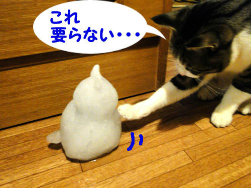 これ、いらない・・・