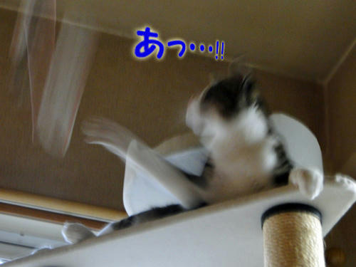 あっ・・・
