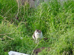 ・・・・・