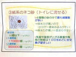 紙