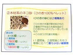 ひのき