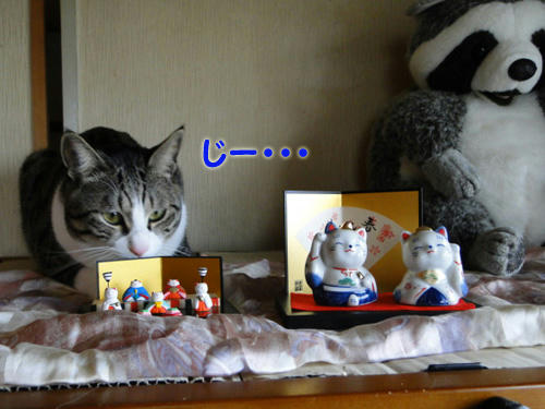 じー・・・