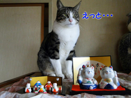 えっとー・・・