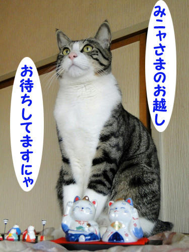 お待ちしてます