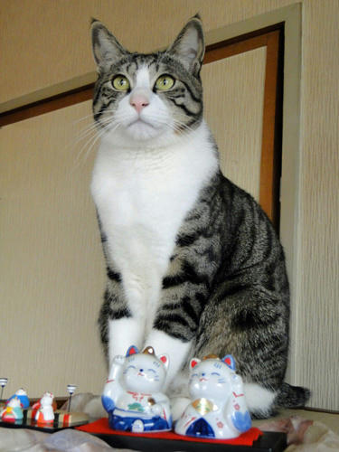 おすまし