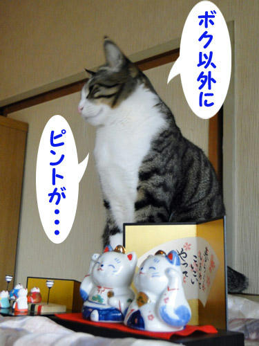 ボク以外にピントが…