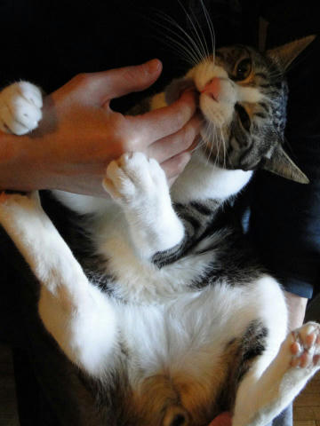 ゆびしゃぶり