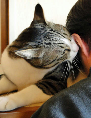 ひそひそ・・・