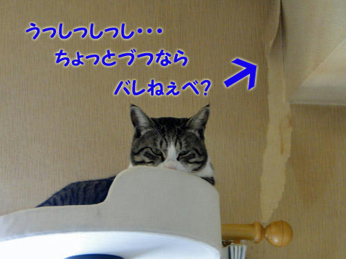 うっしっし・・・