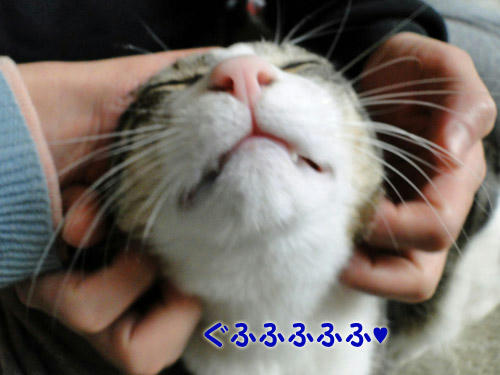 ぐふふふふ♪