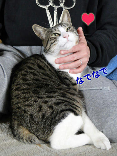 なでなで