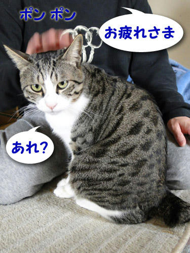 あれ？