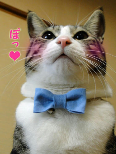ぽっ