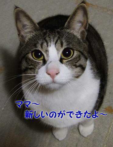 新しいの出来た！