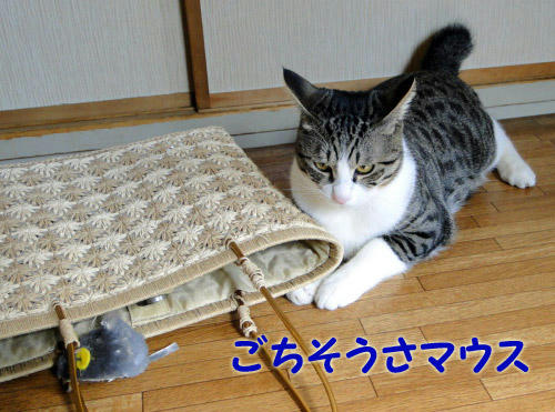 ごちそうさマウス