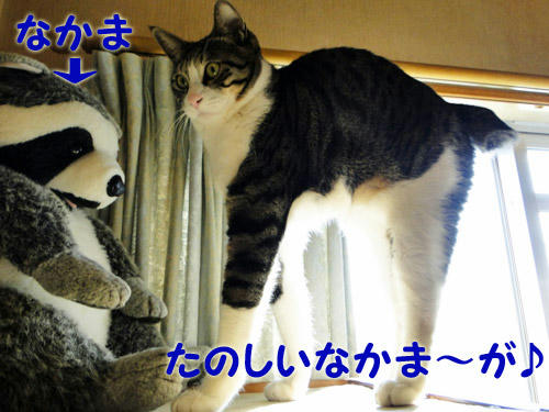 楽しい仲間が