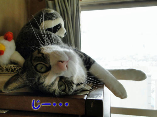 じー