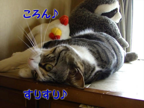 ころん