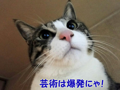 芸術は爆発にゃ