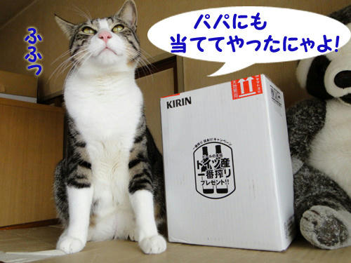 当てたにゃよ！