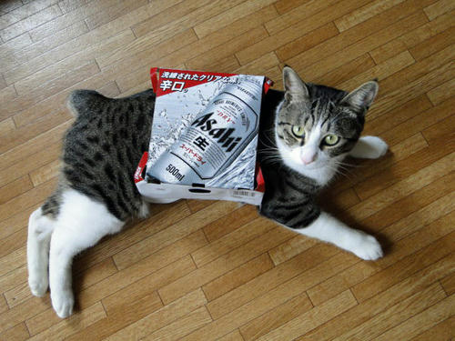 ビール