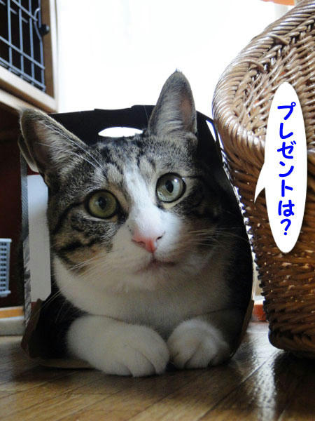 プレゼントは？