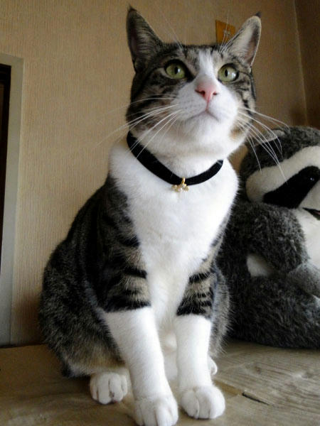 にあう？