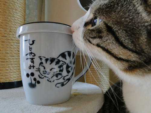 猫柄マグカップ