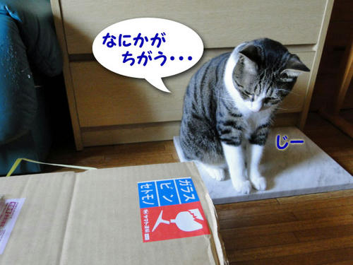 何かが違う