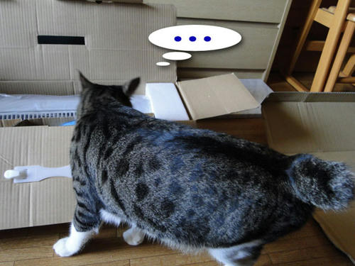 チェック