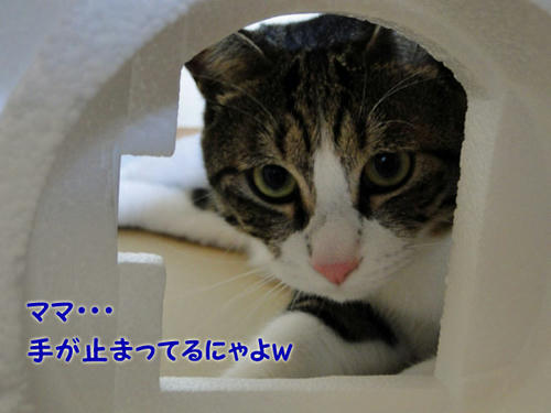手が止まってる・・・