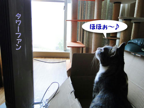 ほほぉ～♪