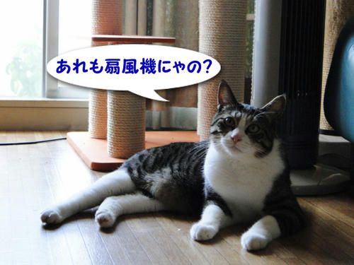 あれも扇風機？